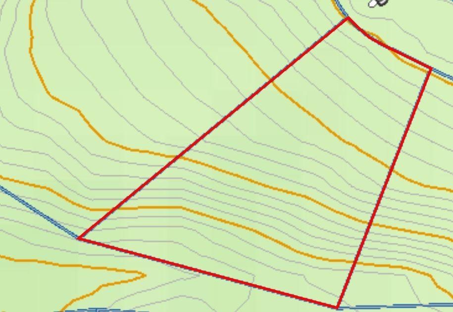 Topography view of lot.  Yellow lines = 10', light gray lines are 2'.