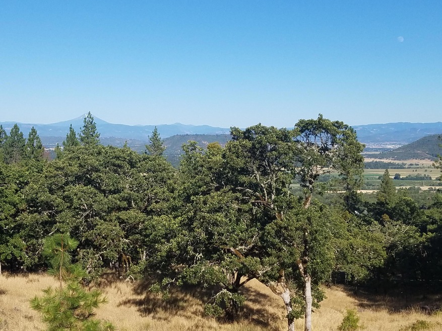1208 Overlook Dr