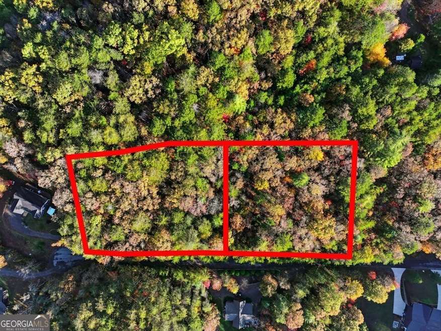 0 Autumn Ridge Drive Lot 10 & Lot 11 Dr unit 10647540, Mineral Bluff, GA 30559 - photo 1