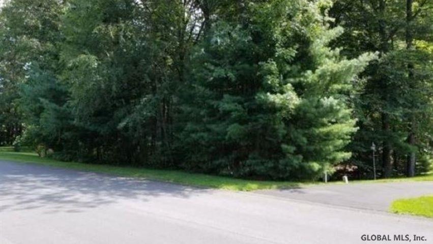 65 Cobble Hill Dr, Gansevoort, NY 12831 - photo 1