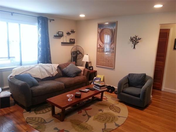 95 Chestnut St unit 6, Brookline, MA 02445 - photo 1