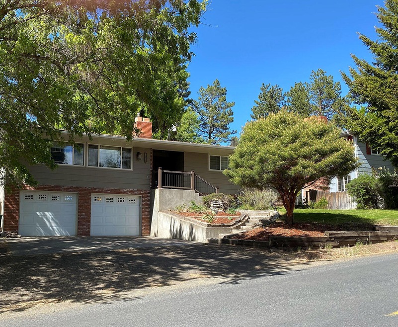 6715Shasta-01