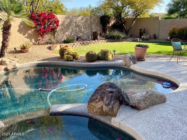 Backyard 1