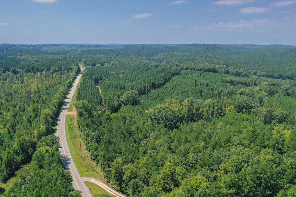 0 Old Windmill Rd unit 24711444, Ridgeway, SC 29130 - photo 1