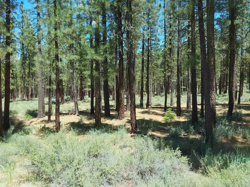 For Sale $99,999 • Co-Listing Agent