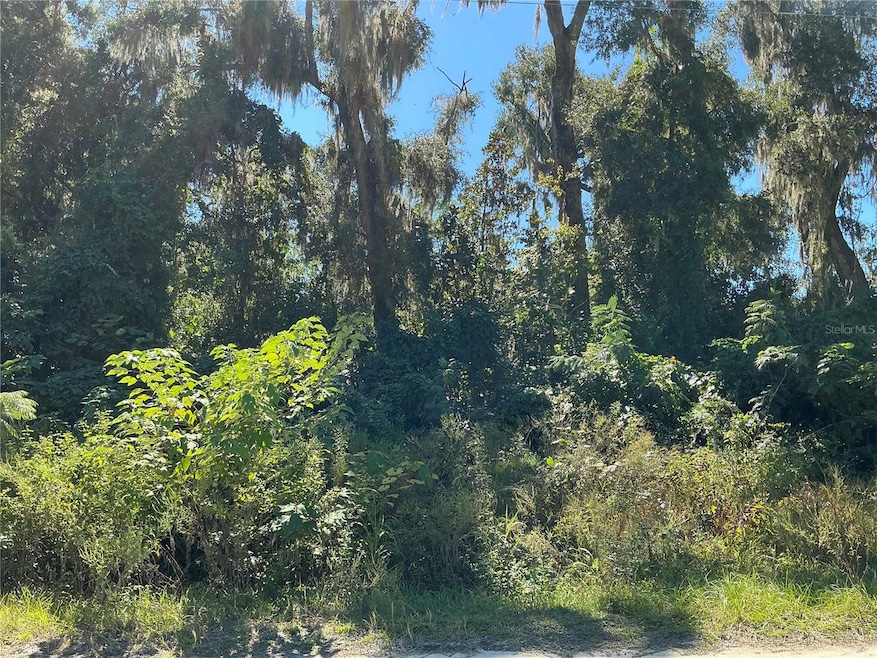 0 SE 134th Place unit MFROM714274, Belleview, FL 34420 - photo 1