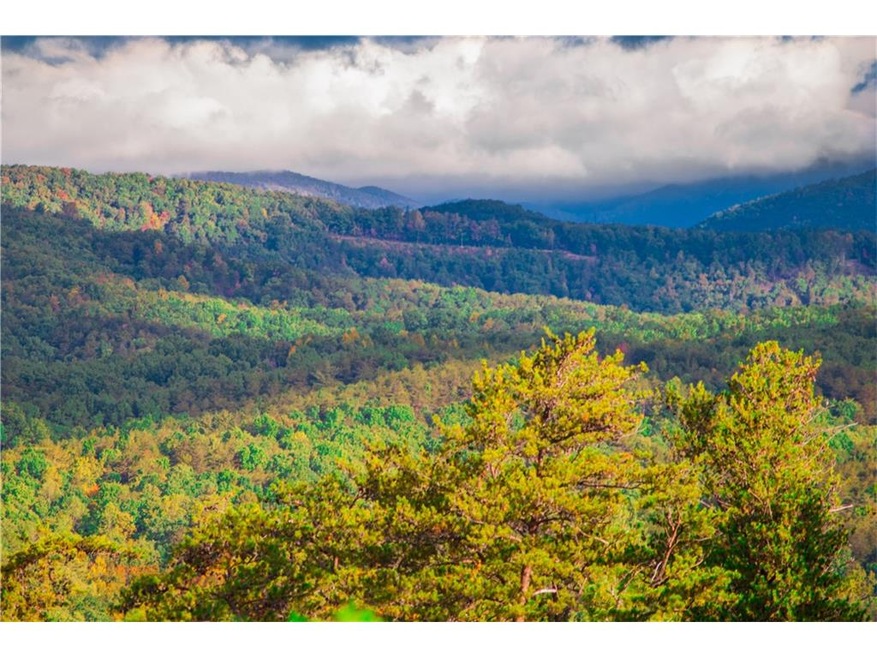 View of Dawson forest