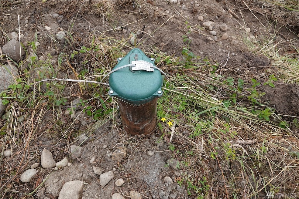 2217 384th St E, Roy, WA 98580 - photo 1