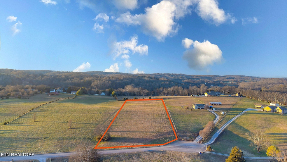 DJI_0876-Enhanced-NR-Edit-Edit