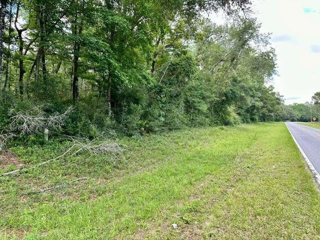 0 Jack Crum Rd unit 359125, Crawfordville, FL 32327 - photo 1