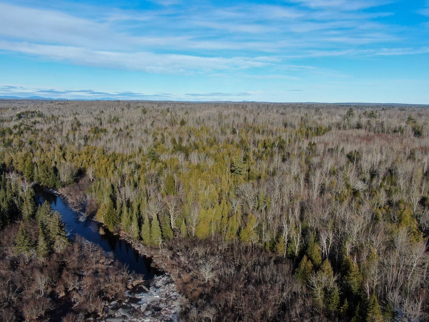 DJI_0803
