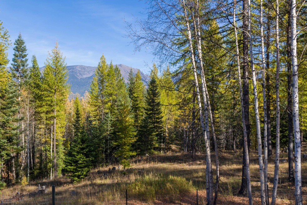 350 Bug Creek Rd, Big Fork, MT 59911 - photo 1