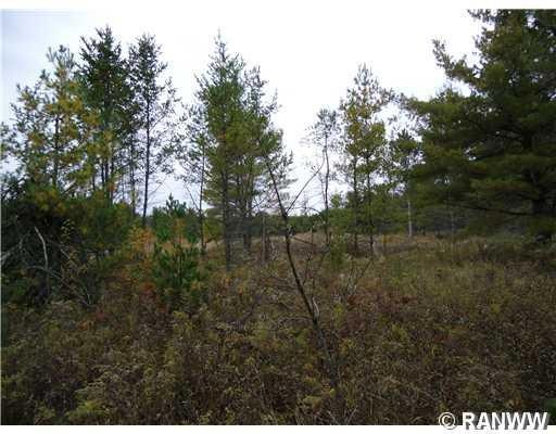 0 Hwy 35 unit 858939, Webster, WI 54893 - photo 1