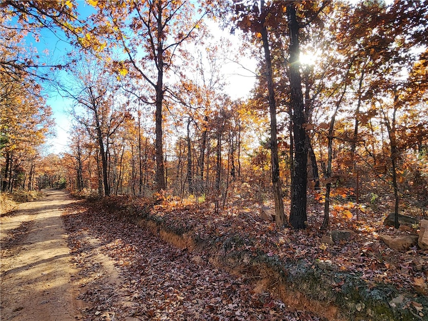 0 County Road 18, Compton, AR 72601 - photo 1