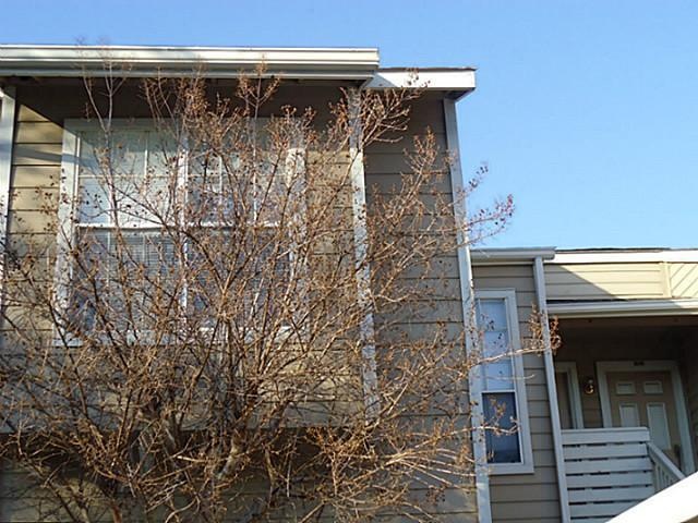 3639 W Northgate, #251, Irving 2 bedrooms, 1.1 bat