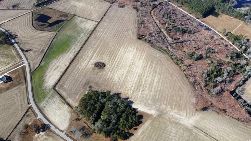 TBD Shelley Ln, Nichols, SC 29581 - photo 1