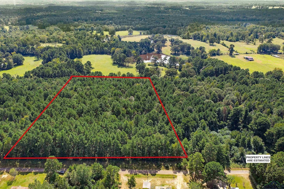 6.4 acres, TBD Narcissus Rd, Ore City, TX 75683 - photo 1