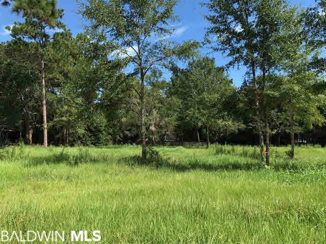 Level lot with beautiful trees remaining.