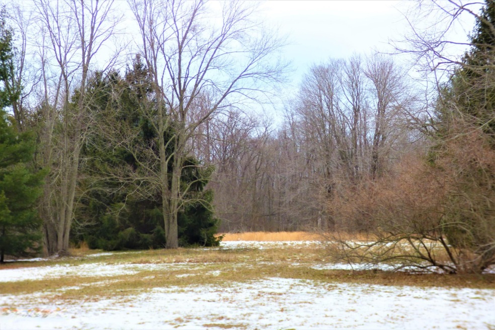 9415 1/2 Union Pier Rd, Union Pier, MI 49129 - photo 1