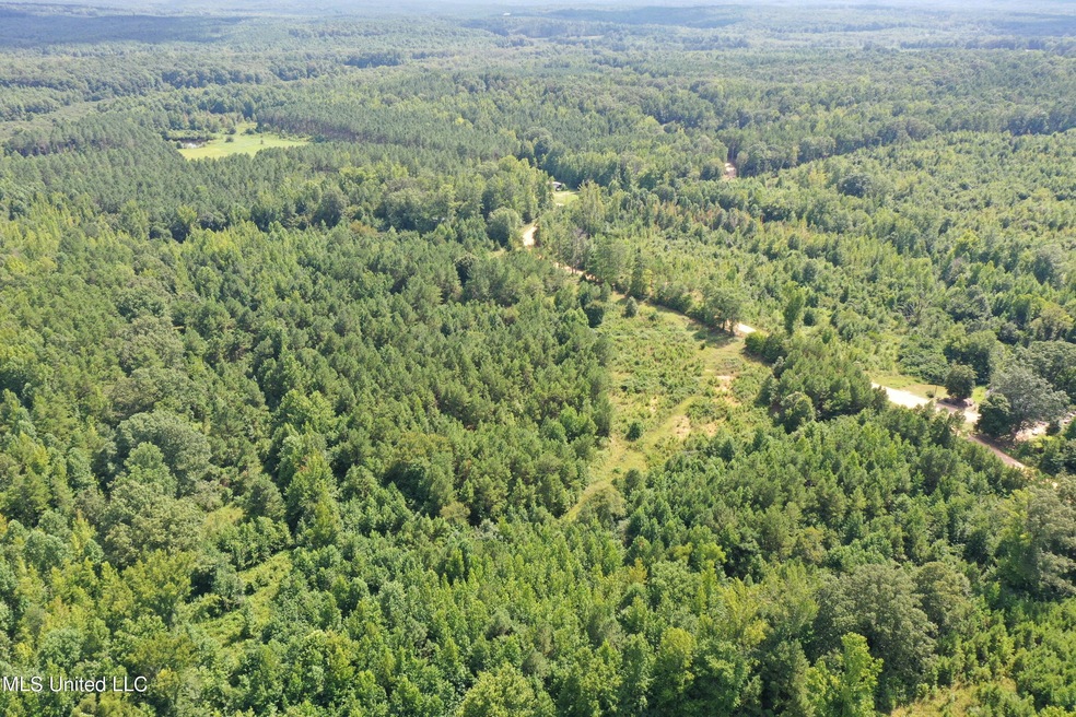 DJI_0420