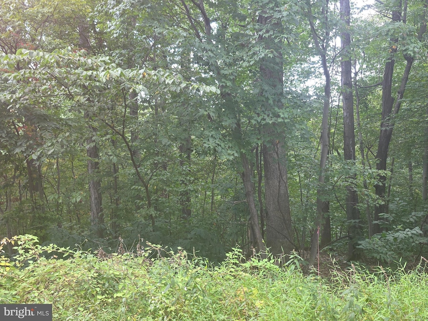 0 Cherrywood Rd, Front Royal, VA 22630 - photo 1