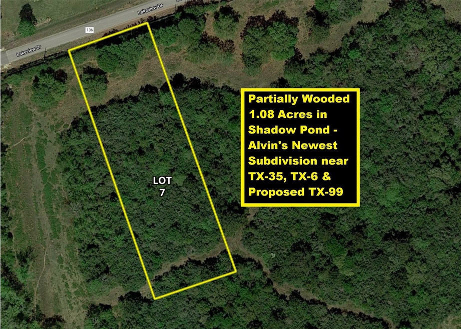 25 Lakeview Drive Lot 7, Alvin, TX 77511 - photo 1