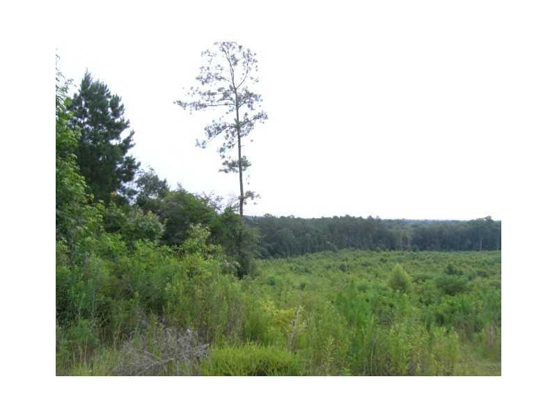 0 Bill Pace Rd, Franklinton, LA 70438 - photo 1