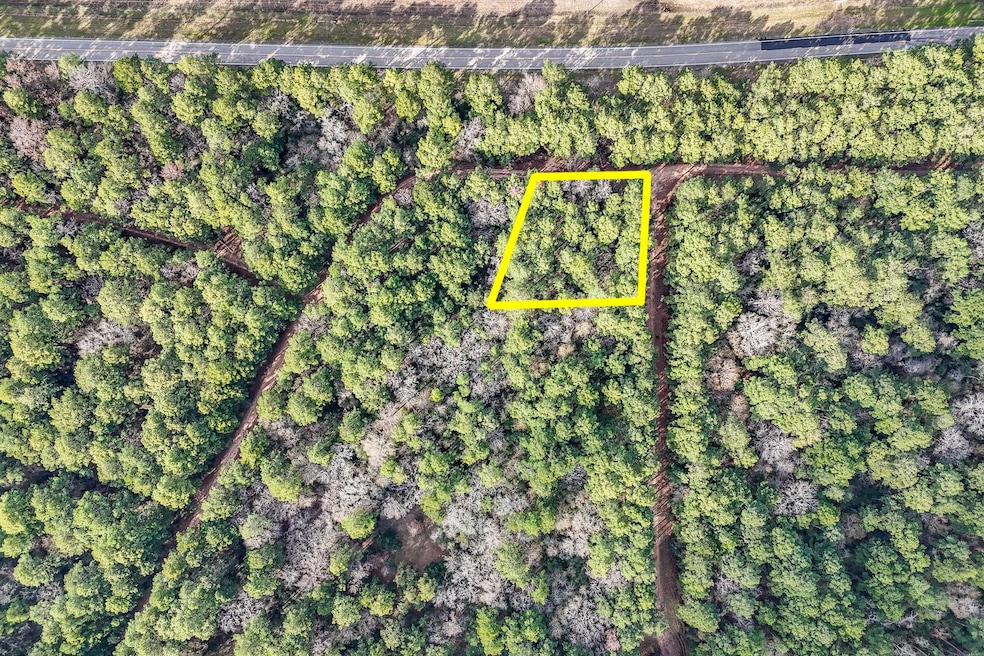 0 E Hickory Bow Ln unit 69902885, Waller, TX 77445 - photo 1