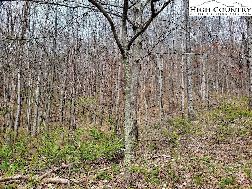 TBD Tract #7, Banner Elk, NC 28604 - photo 1