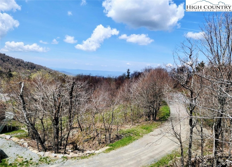 View from Neigbor's house - property begins in the