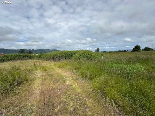 1 Springer St unit 1-4, Puget Island, WA 98612 - photo 1