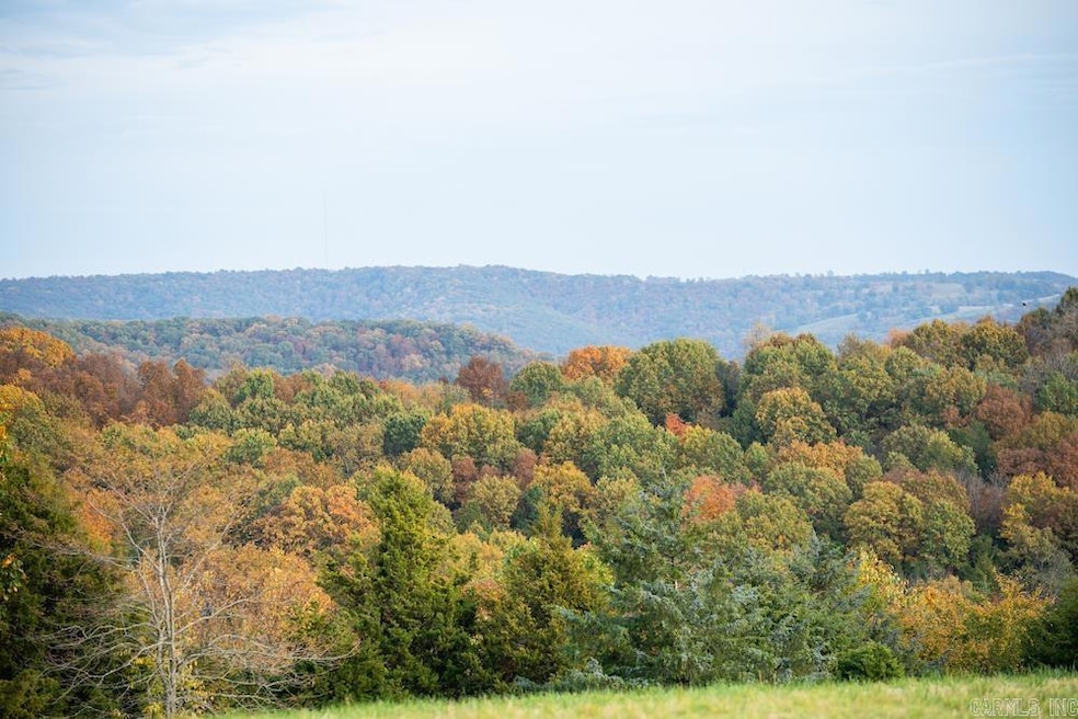 n/a Cr 663, Oak Grove, AR 72660 - photo 1