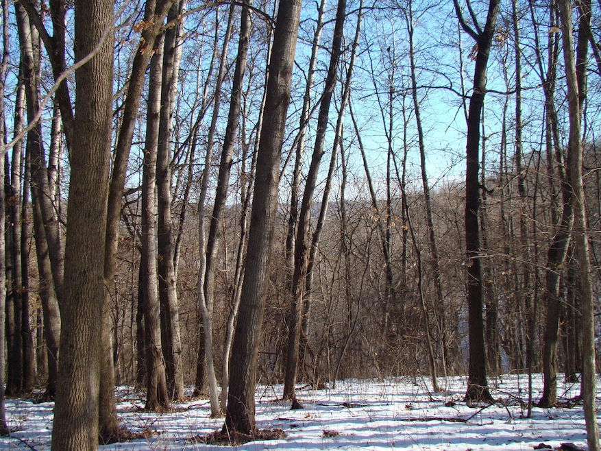 0 Old Gays Rd unit 25765679, Gays Mills, WI 54631 - photo 1