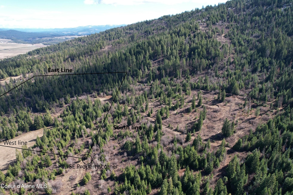 Tract 5 Thimbleberry Ln, Plummer, ID 83851 - photo 1