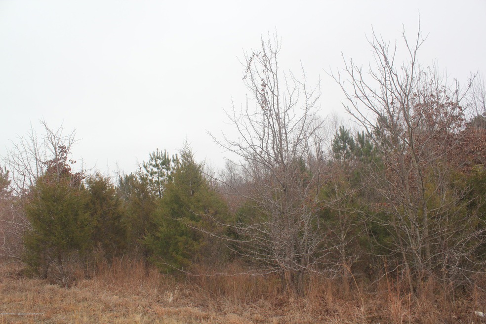 88 Bennett Cir, Byhalia, MS 38611 - photo 1