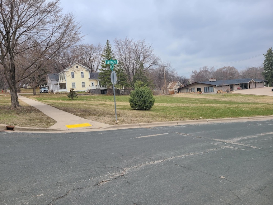 306 5th St W, Hastings, MN 55033 - photo 1