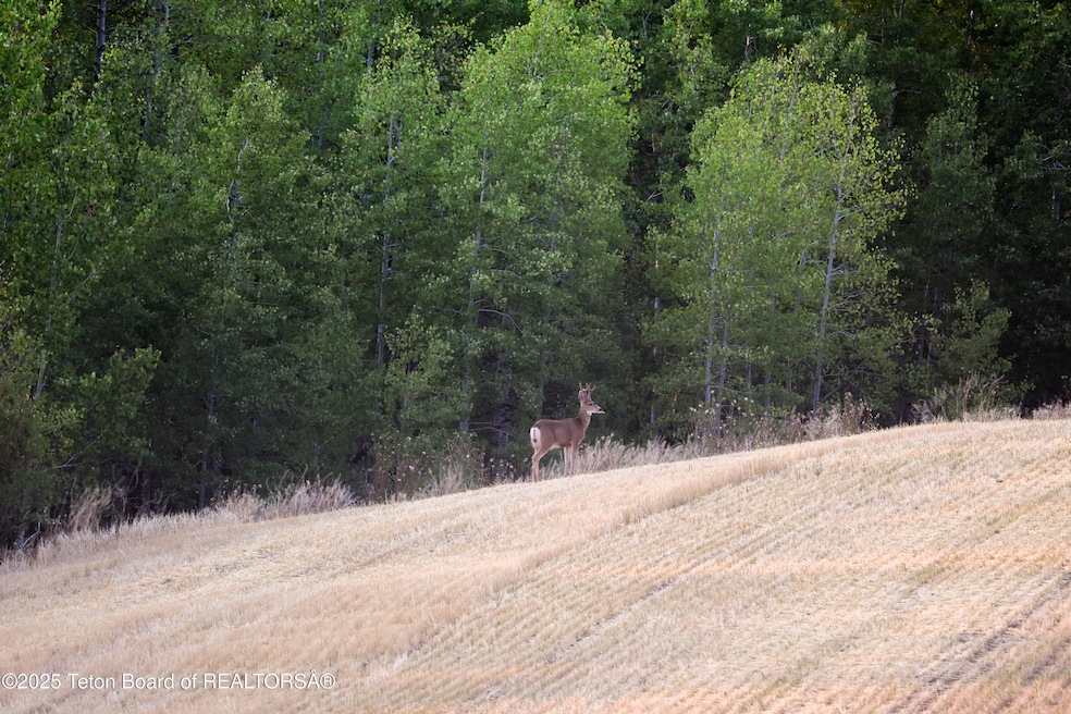 For Sale $10,950,000 • Co-Listing Agent