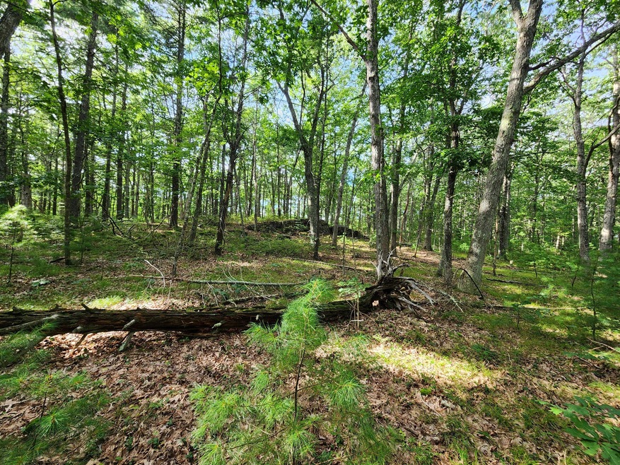 31 Rumsey Rd, York, ME 03909 - photo 1