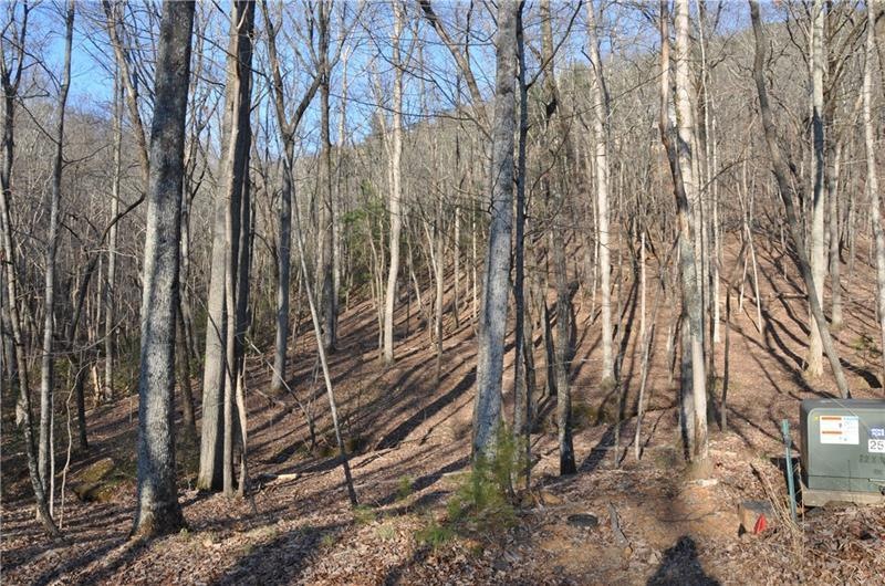 1178 Quail Cove Dr, Jasper, GA 30143 - photo 1