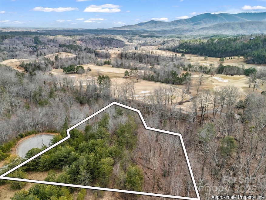 146 Wee Burn Cove, Mill Spring, NC 28756 - photo 1