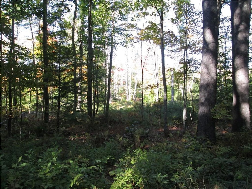 B 4.6 Sand Pond Rd, Hollis, ME 04042 - photo 1