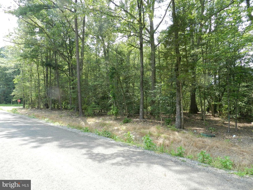 0 Placid Point Rd unit 1000025897, Colonial Beach, VA 22443 - photo 1