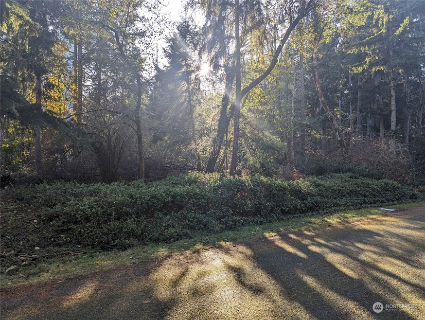 10614 Suncrest Dr, Anderson Island, WA 98303 - photo 1