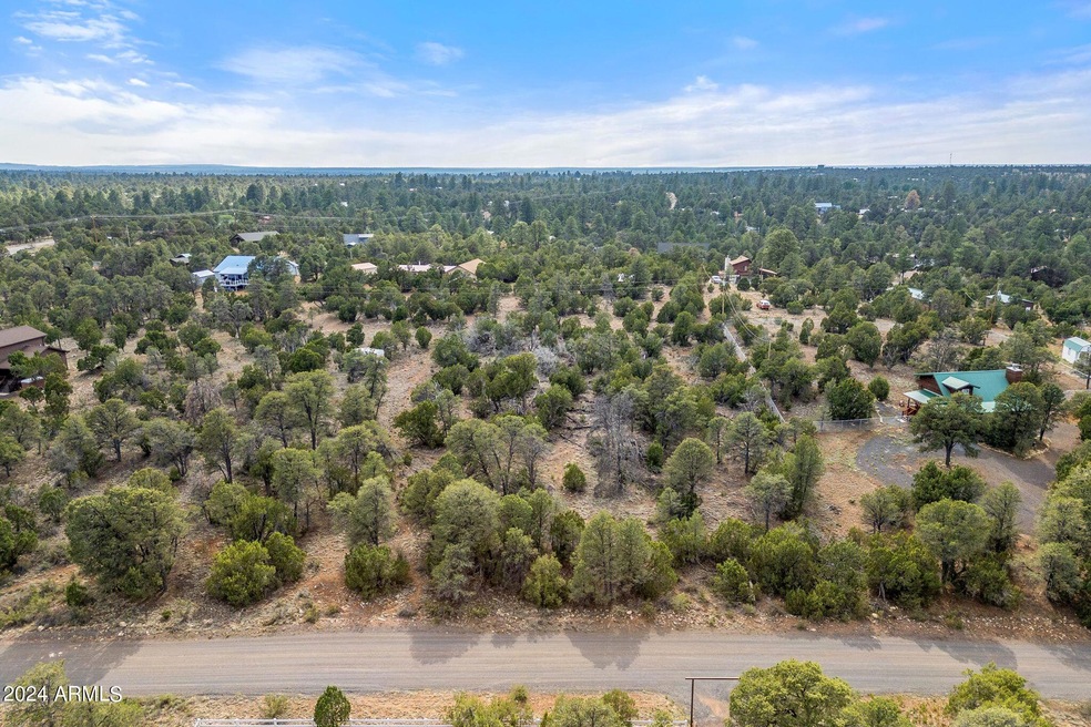 3356ApacheDr-Heber-AZ-2