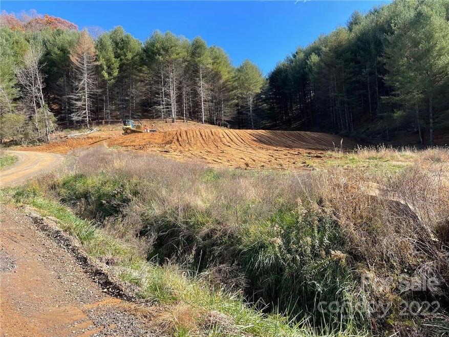 10 Chasing Dreams Dr unit 10, Burnsville, NC 28714 - photo 1