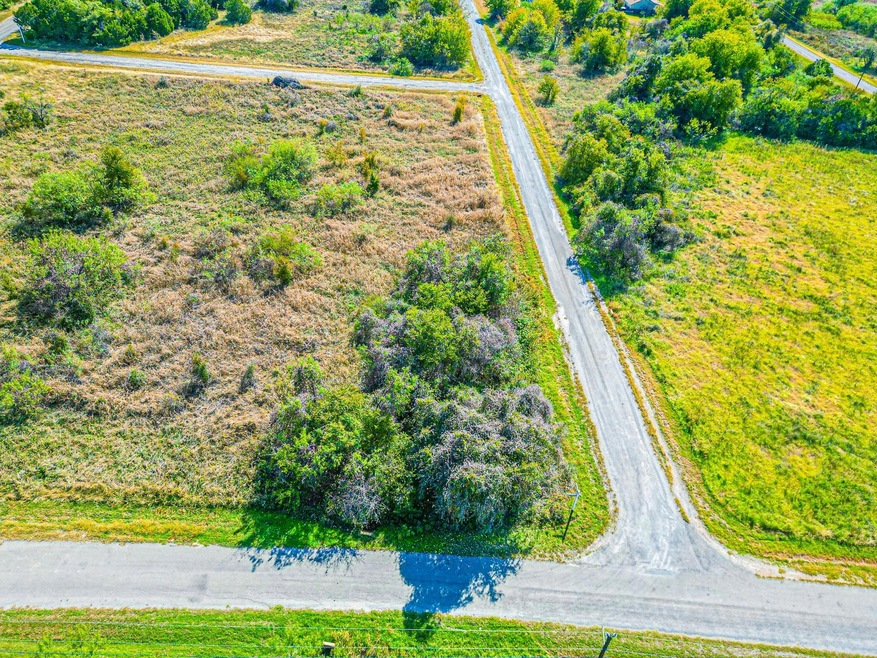 22143 Stanwood Dr & Westmeadow Dr, Whitney, TX 76692 - photo 1