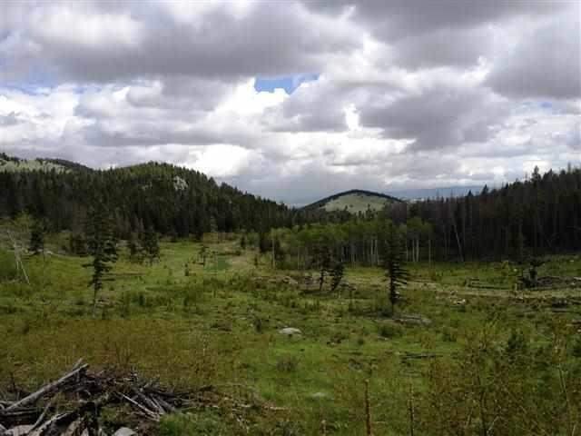 Primary Photo