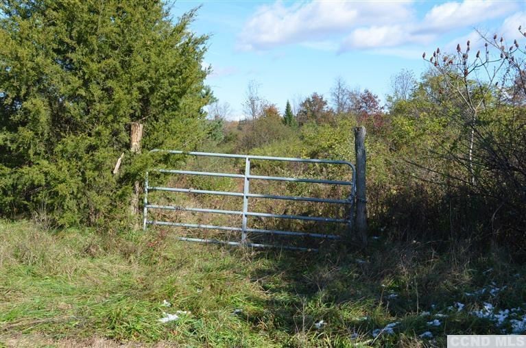 0 Vosburgh Rd, Red Hook, NY 12571 - photo 1