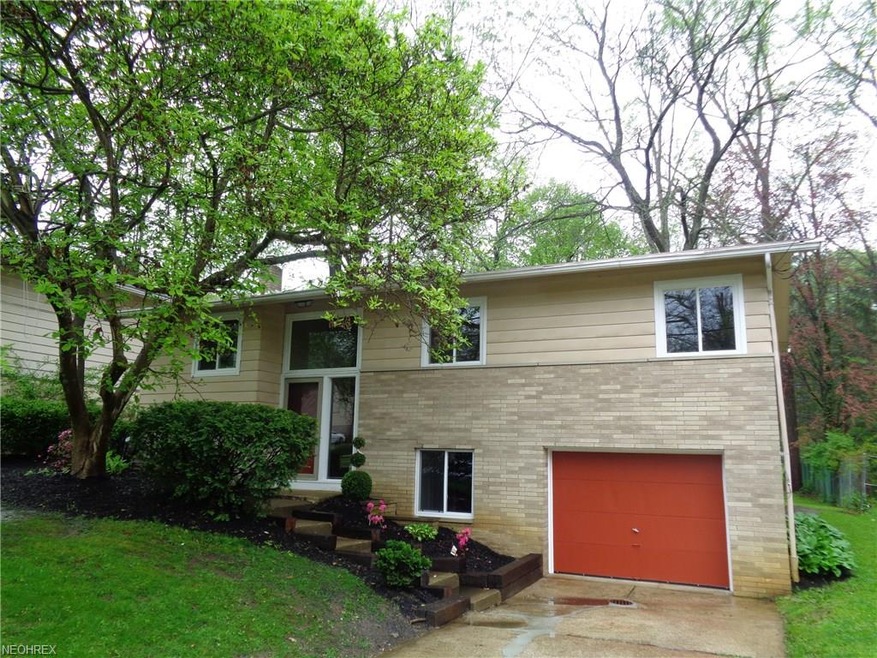 1504 Hilton Dr, Akron, OH 44313 - photo 1