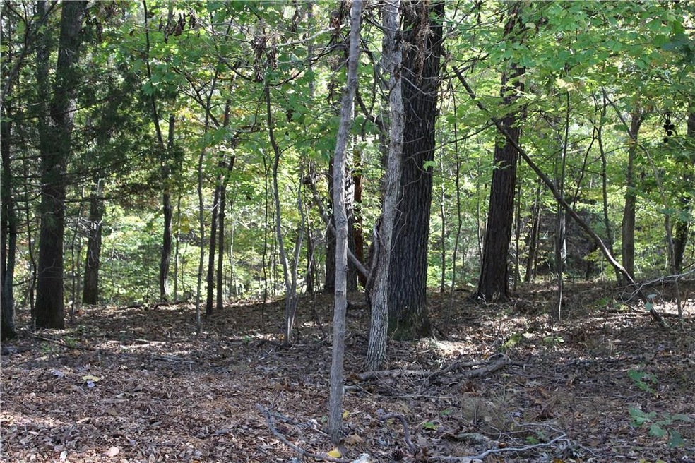 Wooded Lot; Easy access to Highway 71 (Bella Vista Way)